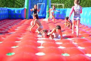 DSC_0365-1-300x200 DSC_0365